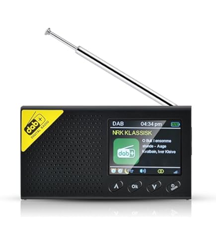 Amazon.co.jp: SONY SRF-R430 FMラジオ : 家電＆カメラ